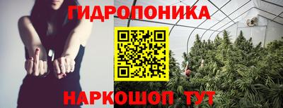 трава Лесосибирск
