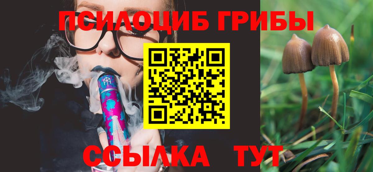 Галлюциногенные грибы прущие грибы Бугуруслан